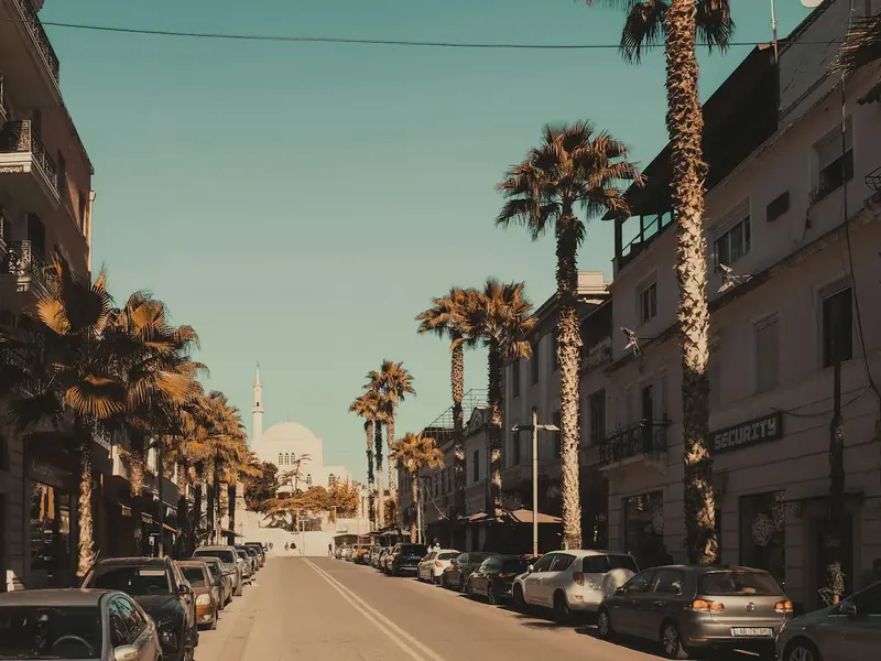 Palm-lined street in Durrës